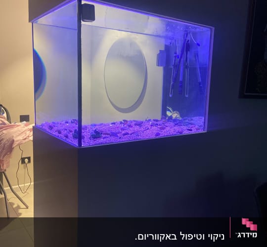 אקווריום עם תאורה סגולה, חצץ וכלים פנימיים